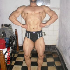 2013 Bodybuilding Images