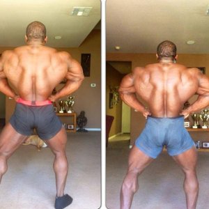 2013 Bodybuilding Images