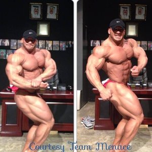 2013 Bodybuilding Images