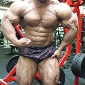 2013 Bodybuilding Images