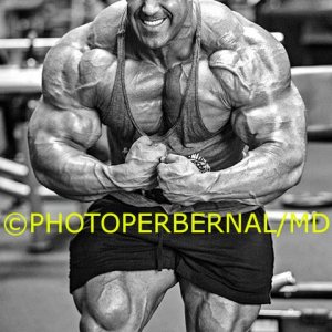 2013 Bodybuilding Images