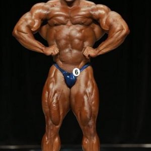 2013 Bodybuilding Images