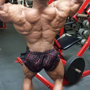 2013 Bodybuilding Images