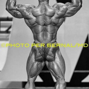 2013 Bodybuilding Images