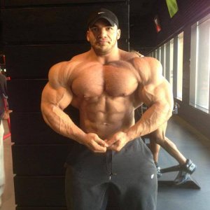 2013 Bodybuilding Images