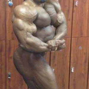 2013 Bodybuilding Images