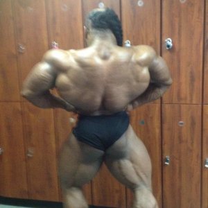 2013 Bodybuilding Images