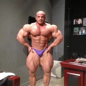 2013 Bodybuilding Images