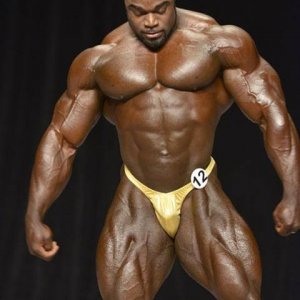 2013 Bodybuilding Images