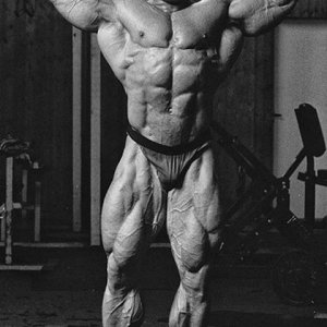 2013 Bodybuilding Images