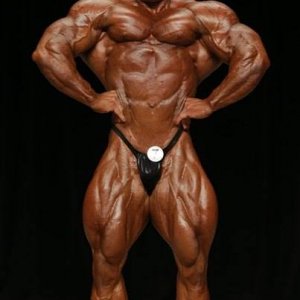 2013 Bodybuilding Images