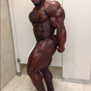 2013 Bodybuilding Images