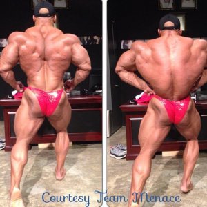 2013 Bodybuilding Images