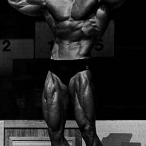 2013 Bodybuilding Images