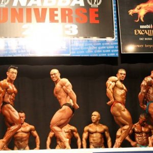 2013 Bodybuilding Images