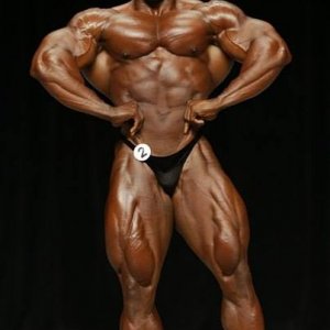 2013 Bodybuilding Images