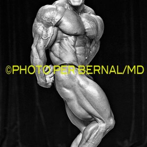 2013 Bodybuilding Images