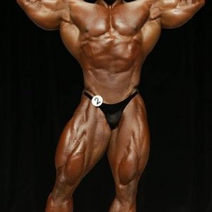 2013 Bodybuilding Images