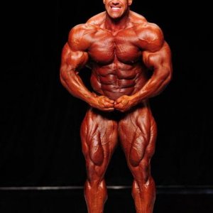 2013 Bodybuilding Images