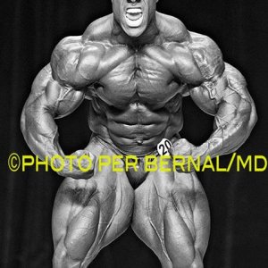 2013 Bodybuilding Images