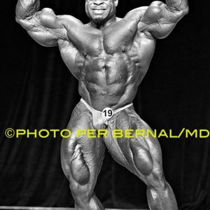 2013 Bodybuilding Images