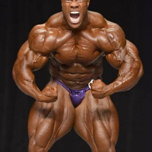 2013 Bodybuilding Images