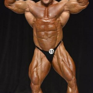 2013 Bodybuilding Images