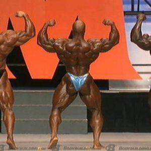 2013 Bodybuilding Images