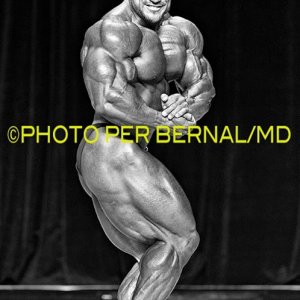 2013 Bodybuilding Images