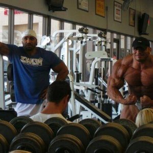 2013 Bodybuilding Images