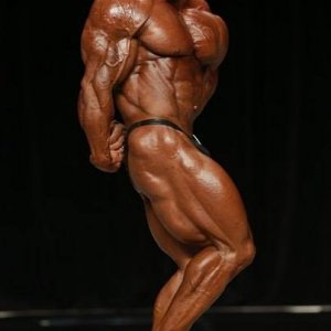 2013 Bodybuilding Images