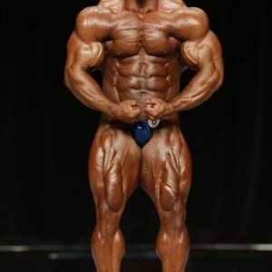 2013 Bodybuilding Images