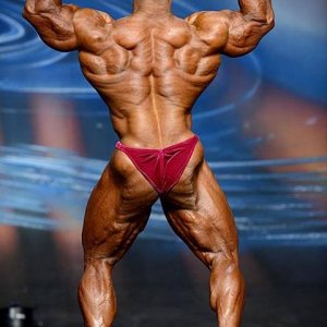 2013 Bodybuilding Images