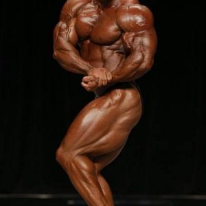 2013 Bodybuilding Images