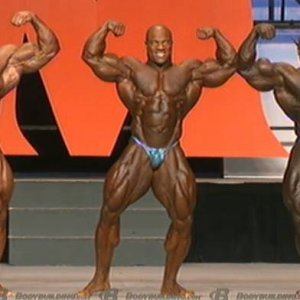 2013 Bodybuilding Images