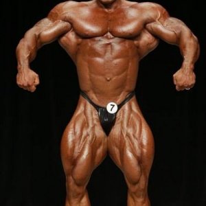 2013 Bodybuilding Images