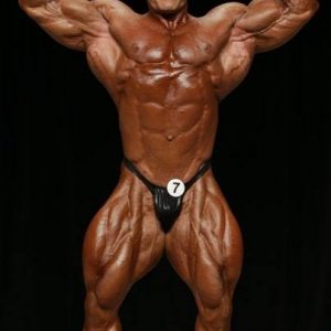 2013 Bodybuilding Images