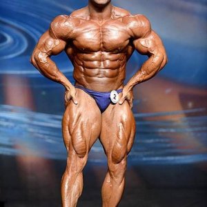 2013 Bodybuilding Images