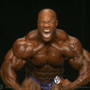 2013 Bodybuilding Images