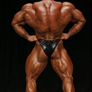 2013 Bodybuilding Images