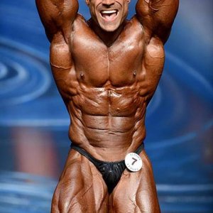 2013 Bodybuilding Images