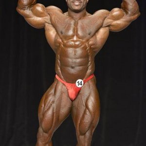 2013 Bodybuilding Images