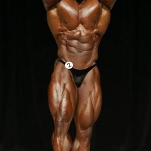 2013 Bodybuilding Images