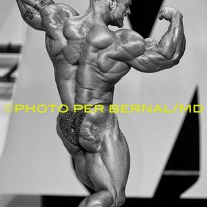 2013 Bodybuilding Images