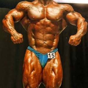 2013 Bodybuilding Images