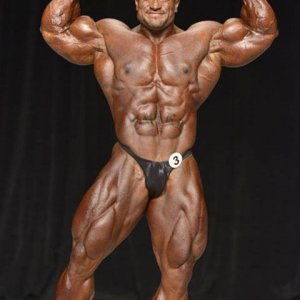 2013 Bodybuilding Images