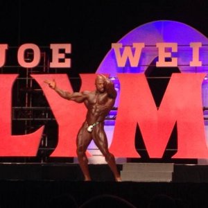 2013 Bodybuilding Images