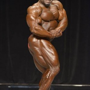 2013 Bodybuilding Images