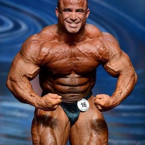 2013 Bodybuilding Images