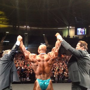 2013 Bodybuilding Images